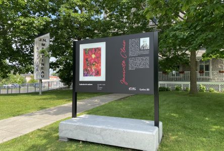 Cinq nouveaux panneaux d’exposition d’artistes dans la MRC