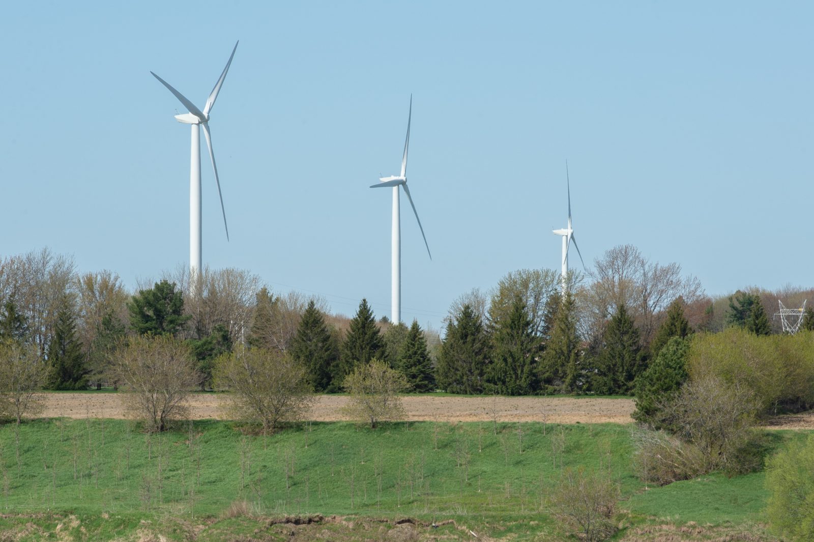 Le chant des oiseaux ou le sifflement des éoliennes? (tribune libre)