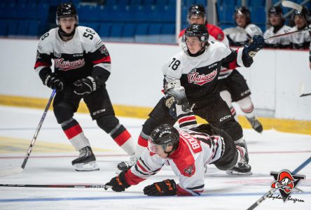 Début des matchs intra-équipes chez les Voltigeurs (photos)