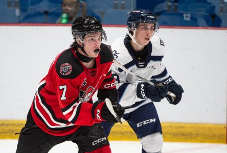 Les recrues des Voltigeurs apprennent à se connaître (photos)