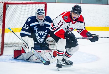 Les jeunes Voltigeurs obtiennent leur revanche (photos)