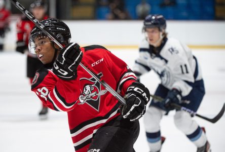 Voltigeurs : trois joueurs retranchés