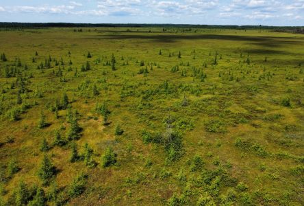 Territoire protégé : le Centre-du-Québec fait piètre figure