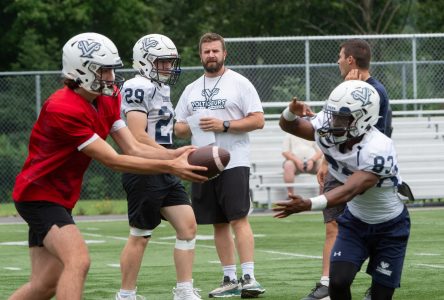 Football : les Voltigeurs veulent tenir leurs partisans en haleine