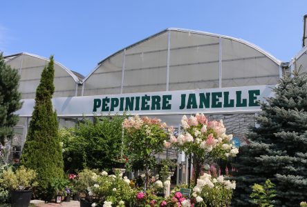 La Pépinière Janelle déploie son motel agricole