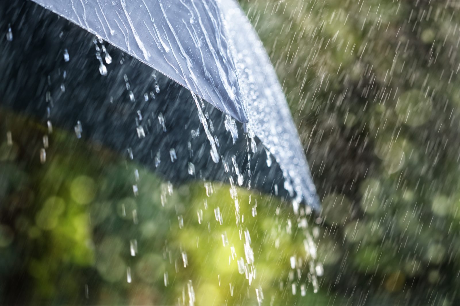 De la pluie abondante pour terminer la semaine