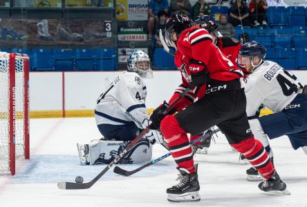 Les Voltigeurs en quête de cohésion face au Phoenix (photos)