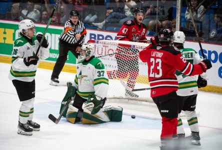 Les Voltigeurs lessivent les Foreurs (photos)