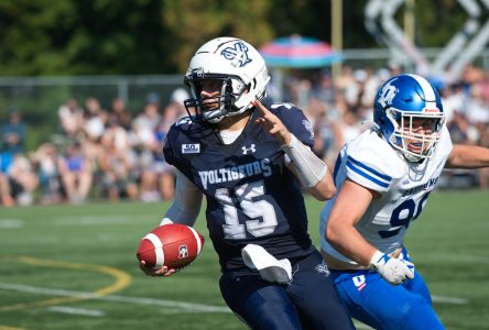 Football : les Voltigeurs se butent aux Griffons