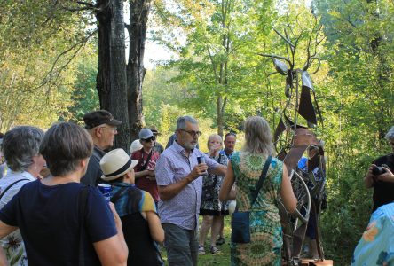 De nouvelles œuvres inaugurées chez Mouvement Essarts