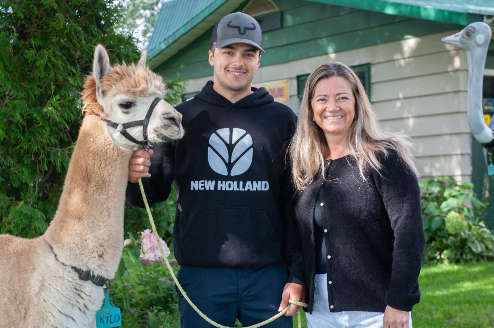 Ferme bel alpaga bon autruche: une histoire de famille