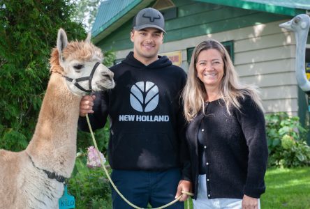 Ferme bel alpaga bon autruche : une histoire de famille