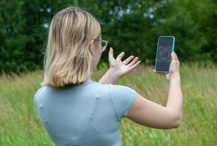 La Table des MRC «insatisfaite» du déploiement de la couverture cellulaire