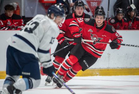 Voltigeurs : nouvelle saison, même marque de commerce