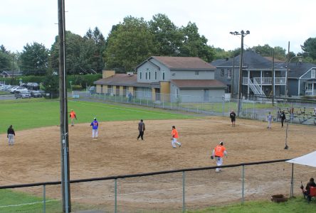 Tournoi de balle molle familial : une tradition bien ancrée