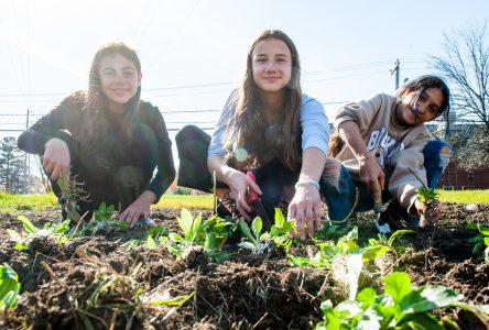 Emprise vivante : les élèves de l’école Saint-Étienne en renfort