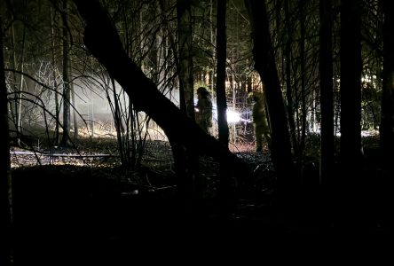 Un feu de forêt a mobilisé pompiers et policiers (vidéo)