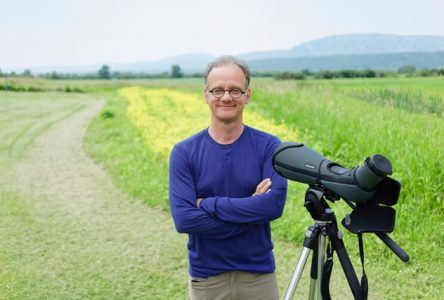 Aux oiseaux depuis 40 ans