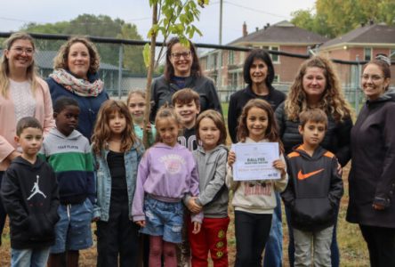 Les rallyes Aventure nature ont rencontré un franc succès