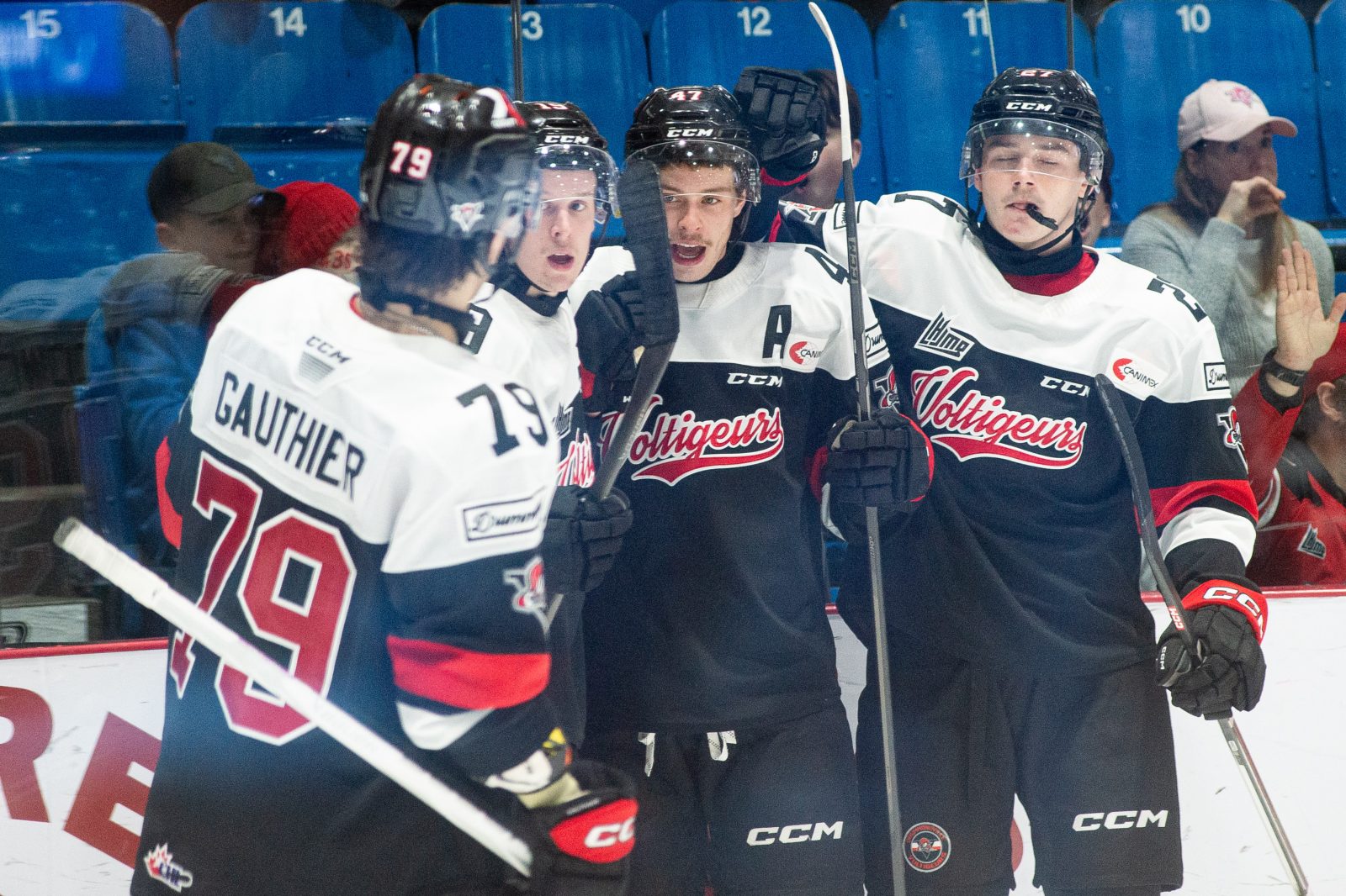 Les Voltigeurs se maintiennent dans le top dix