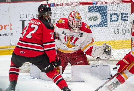 Une petite revanche pour les Voltigeurs (photos)